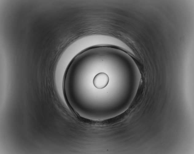 X0000085220546200703091202