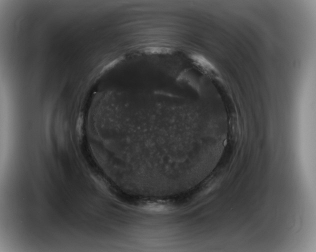 X0000085220550200703091202