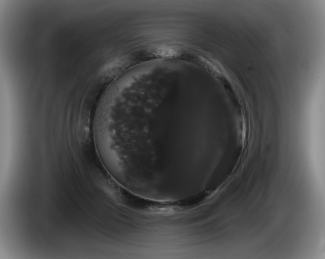 X0000085220553200703091202