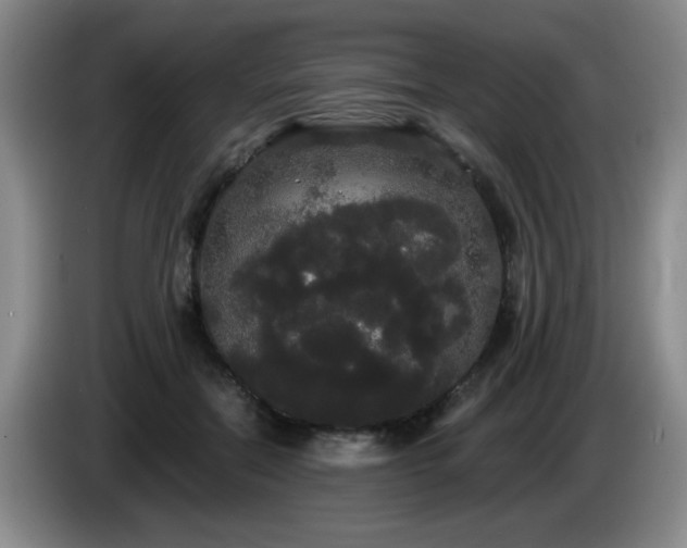 X0000085220554200703091202