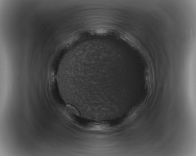 X0000085220555200703091202
