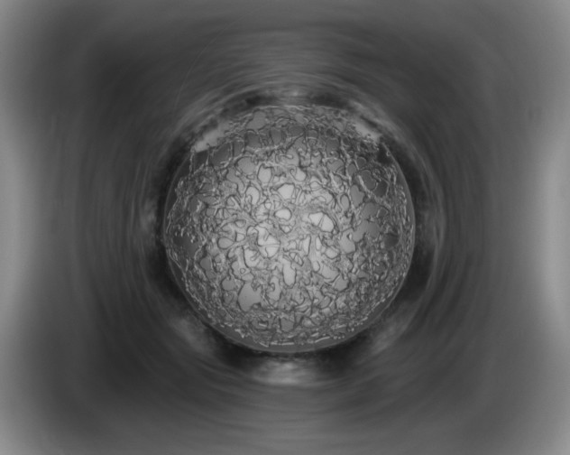 X0000085220557200703091202
