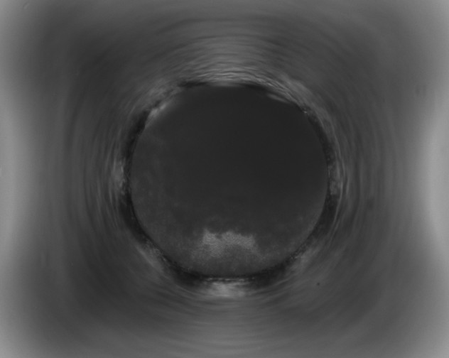 X0000085220560200703091202