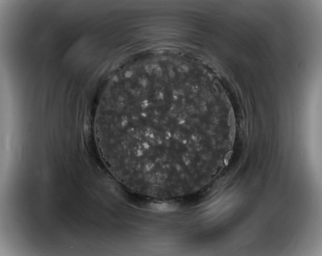 X0000085220561200703091202