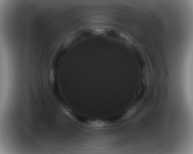 X0000085220562200703091202