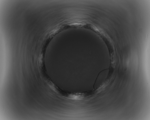 X0000085220563200703091202