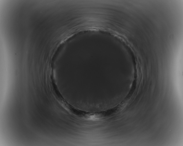X0000085220564200703091202