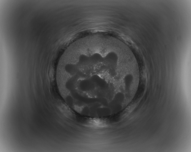 X0000085220565200703091203