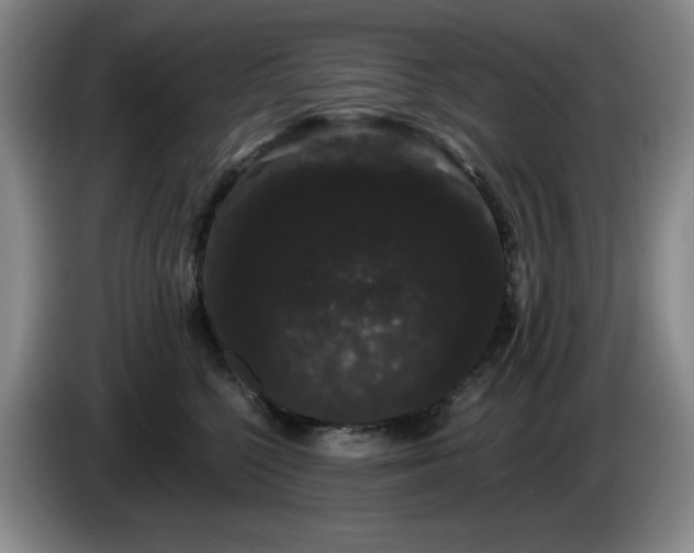X0000085220568200703091203