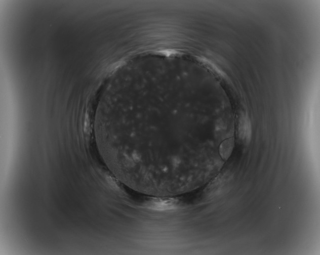 X0000085220569200703091203