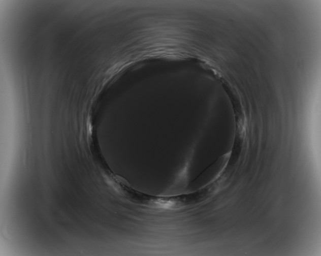 X0000085220570200703091203