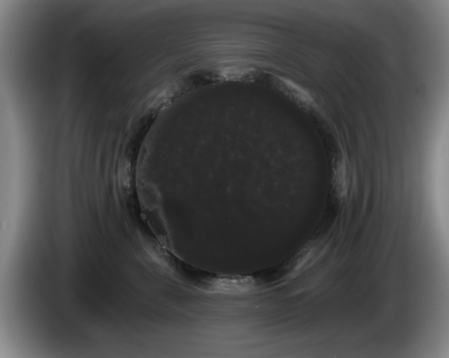 X0000085220571200703091203