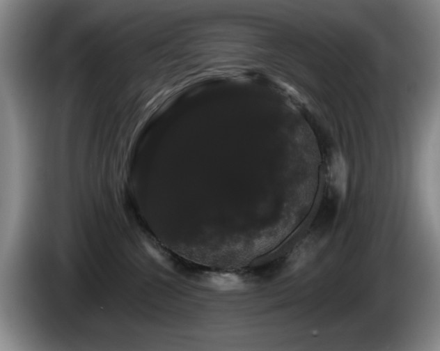 X0000085220572200703091203