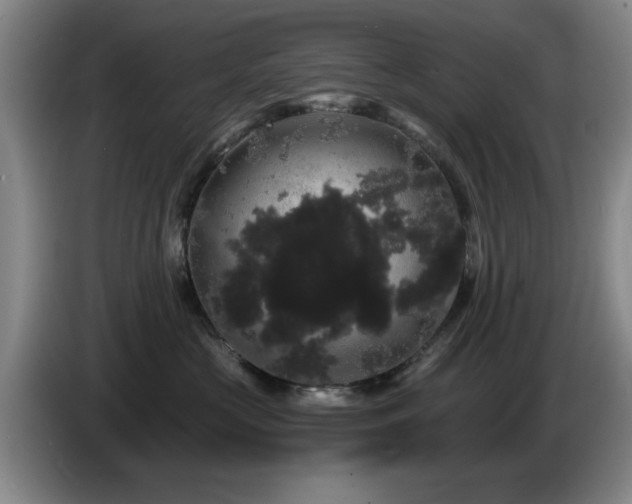 X0000085220573200703091203