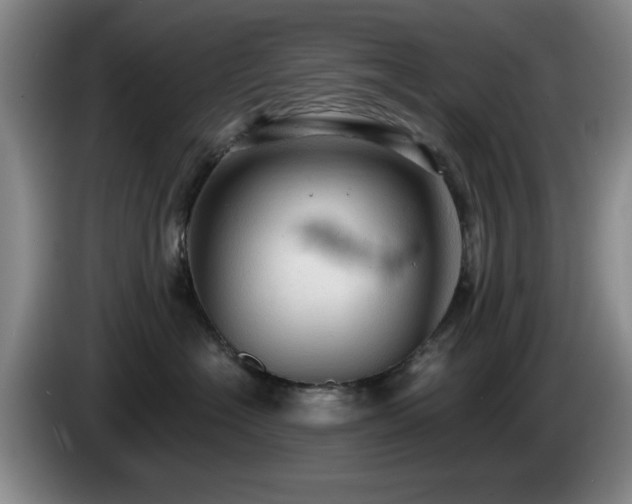 X0000085220574200703091203
