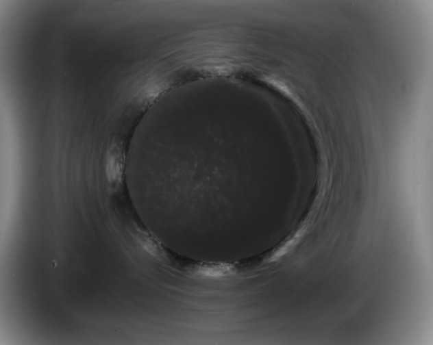 X0000085220576200703091203