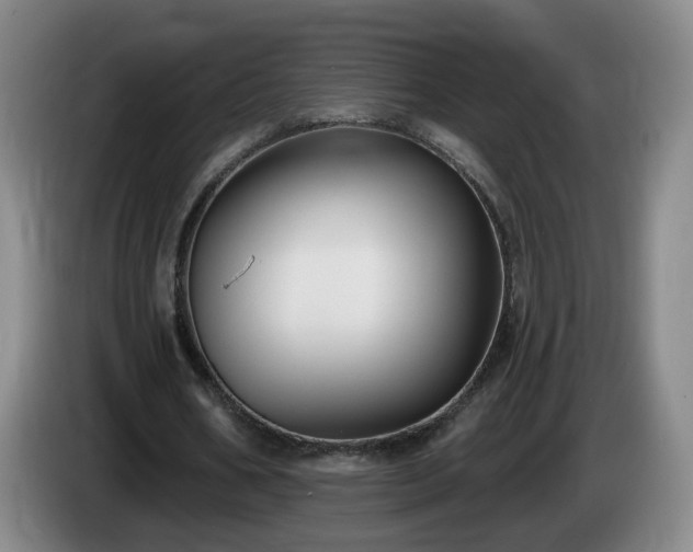 X0000085220578200703091202