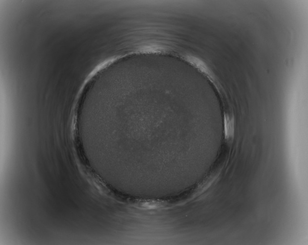 X0000085220579200703091202