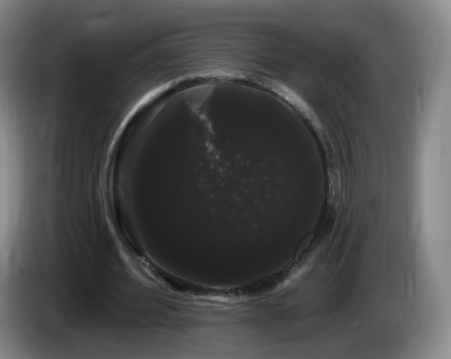 X0000085220580200703091202