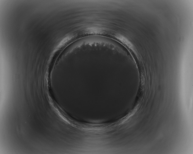 X0000085220581200703091202
