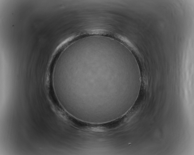 X0000085220583200703091202