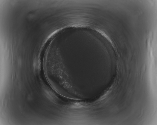 X0000085220584200703091202
