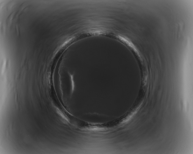 X0000085220585200703091202