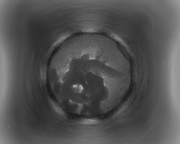 X0000085220586200703091202