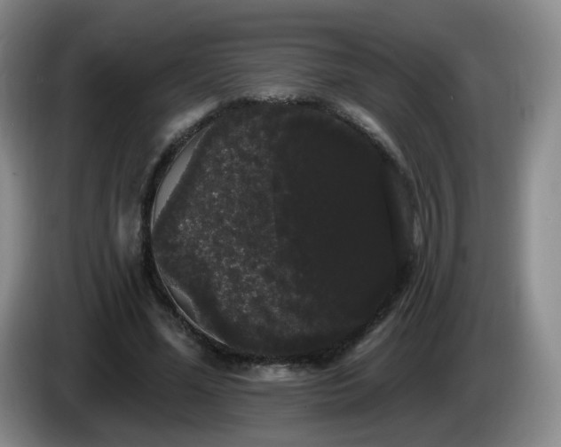 X0000085220588200703091202