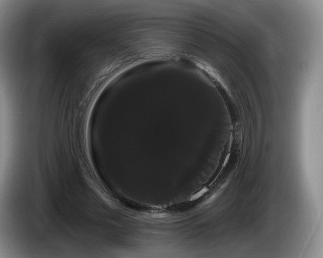 X0000085220589200703091202