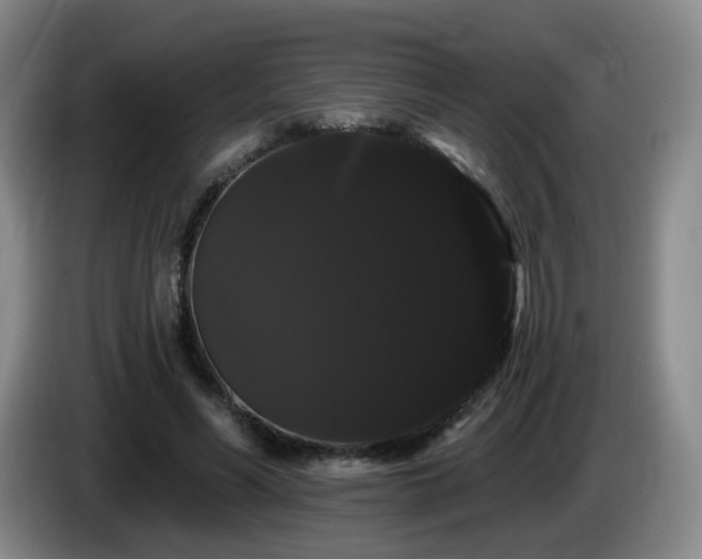 X0000085220590200703091202