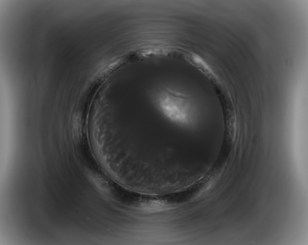 X0000085220594200703091202