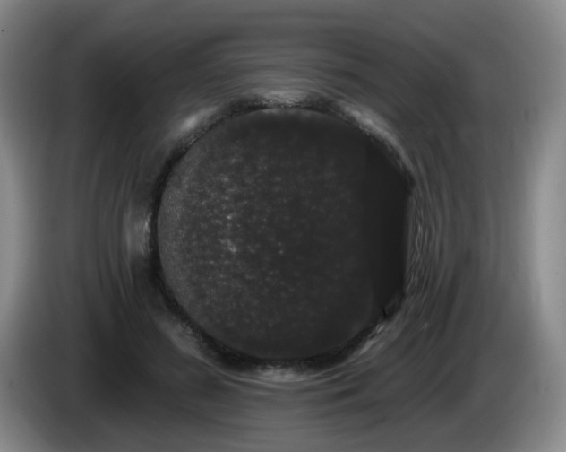 X0000085220596200703091202