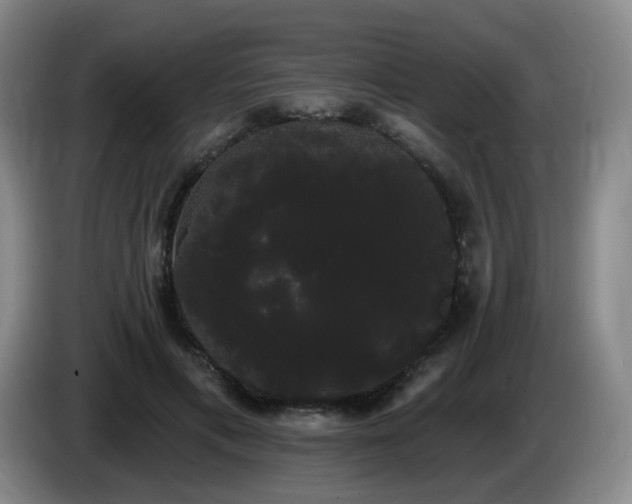 X0000085220597200703091202