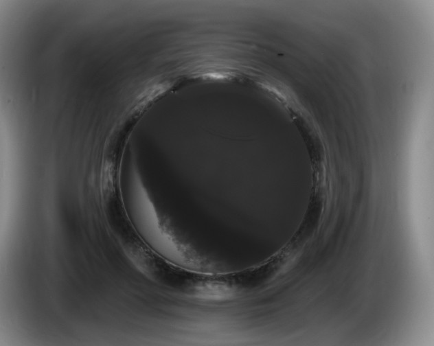 X0000085220598200703091202