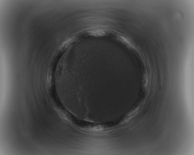 X0000085220600200703091202