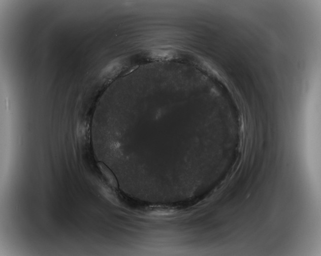 X0000085220601200703091202
