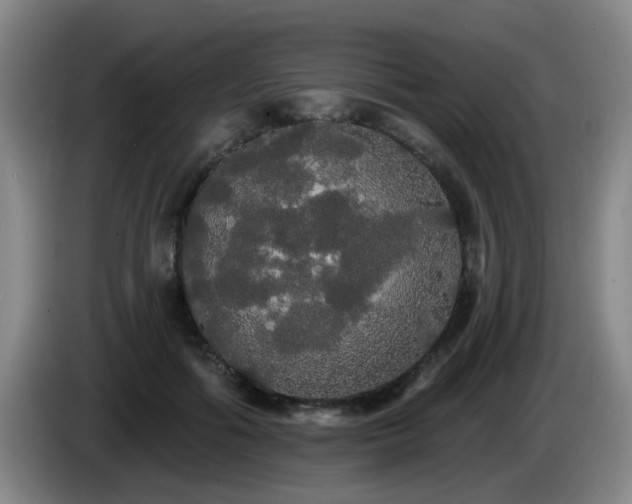 X0000085220602200703091202
