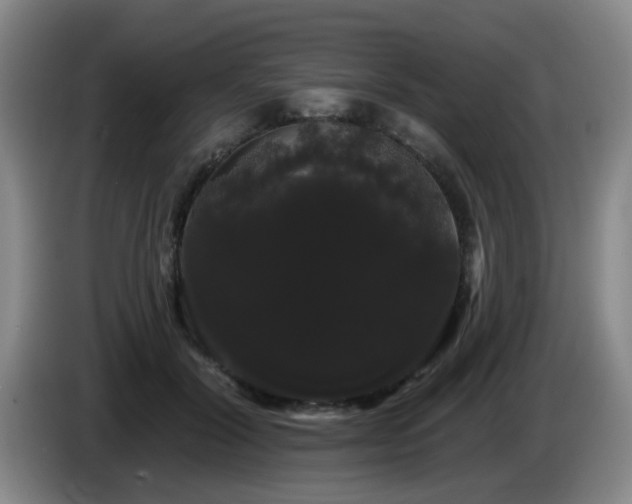 X0000085220604200703091202