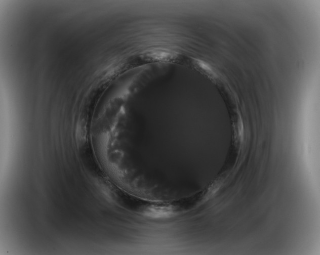 X0000085220606200703091202