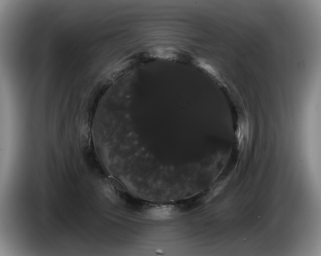 X0000085220609200703091202