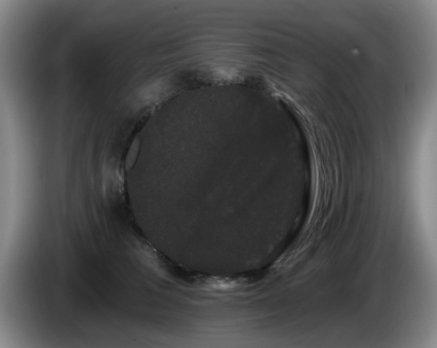 X0000085220613200703091201