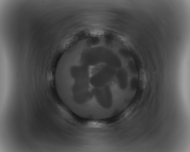 X0000085220614200703091201