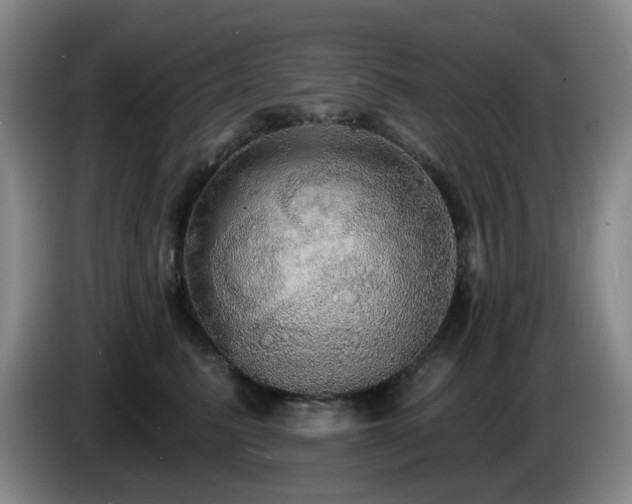 X0000085220615200703091201