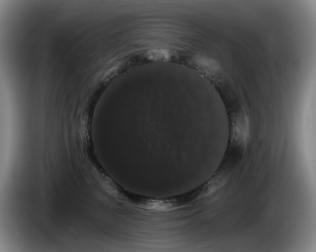 X0000085220616200703091201
