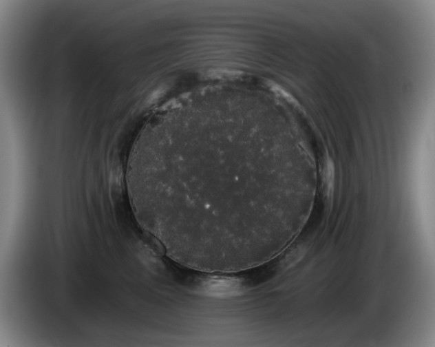 X0000085220617200703091201