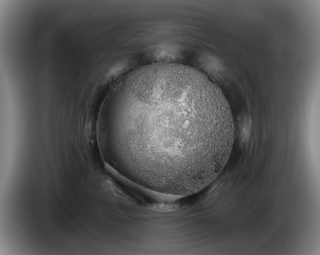 X0000085220619200703091201