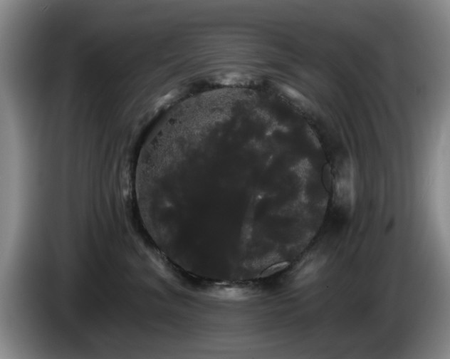 X0000085220620200703091201