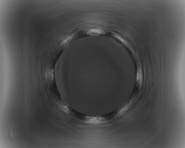 X0000085220621200703091201