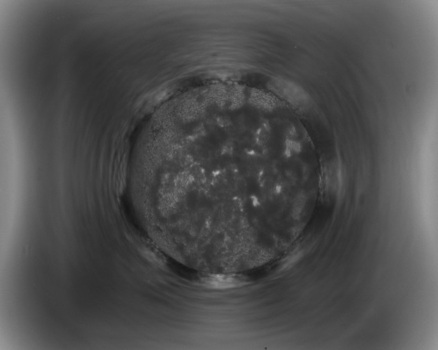 X0000085220623200703091201